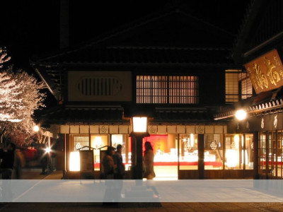 Guía 2025: tipos de iluminación exterior para jardín 